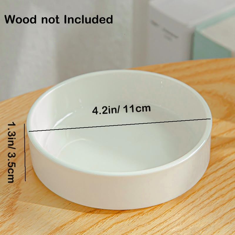 Ceramic Plant Saucer 4” Water Catcher Pot Tray for Brazilian Wood Plant |