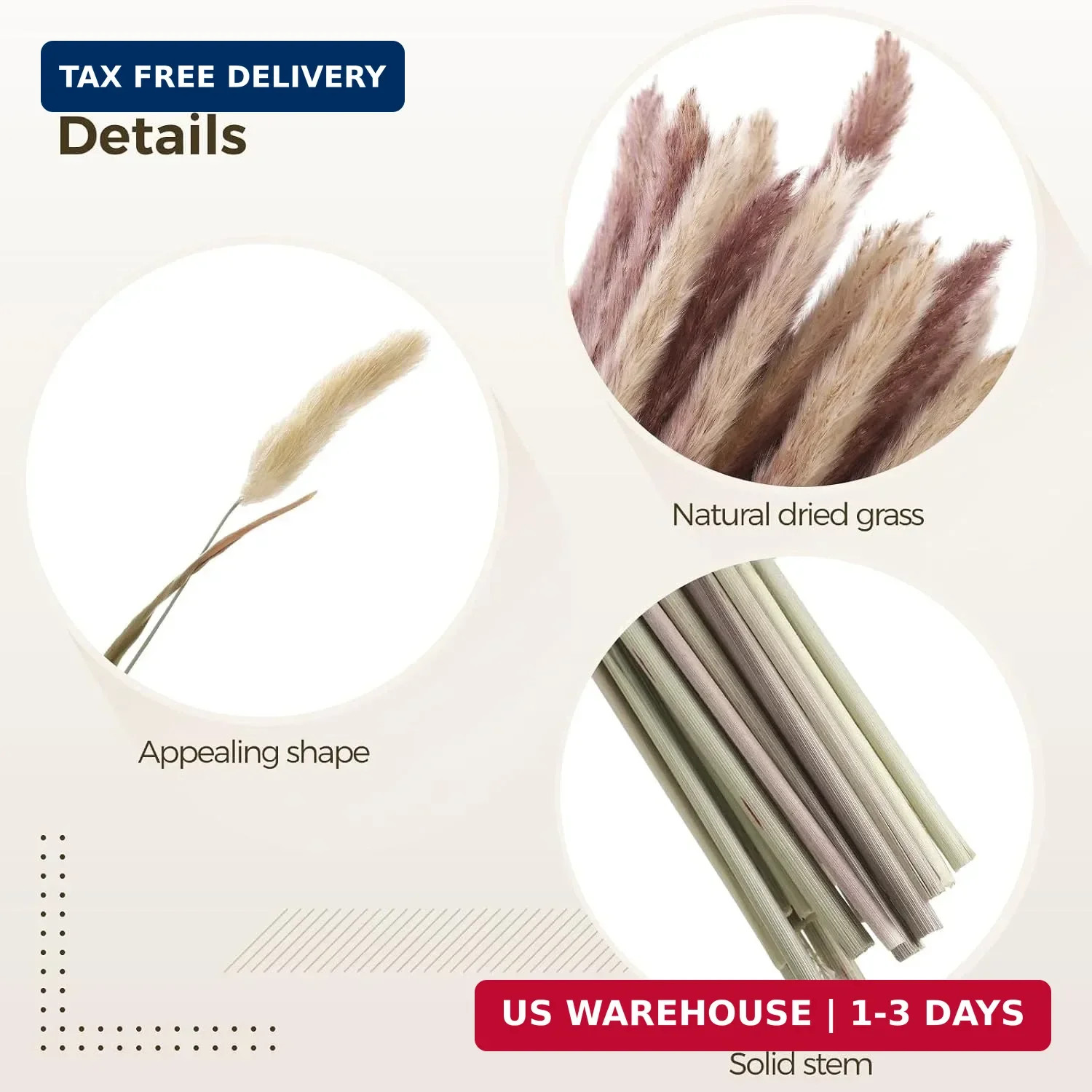 300 Pcs Dried Pampas Grass Bouquet – Natural Eucalyptus & Bunny Tail Grass, Boho