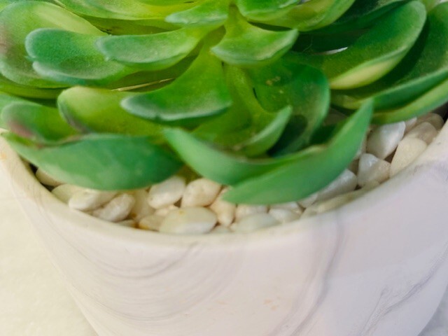 Succulents Plants Artificial, Larg Fake Succulents in White & Grey Ceramic Pot