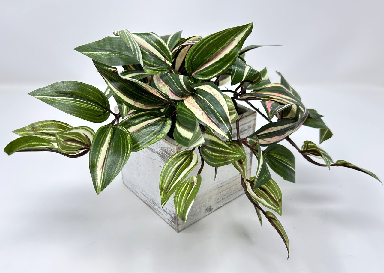 8″ Potted faux silk Green-Pink-White Jew TRADESCANTIA Vine INCH plant in White w