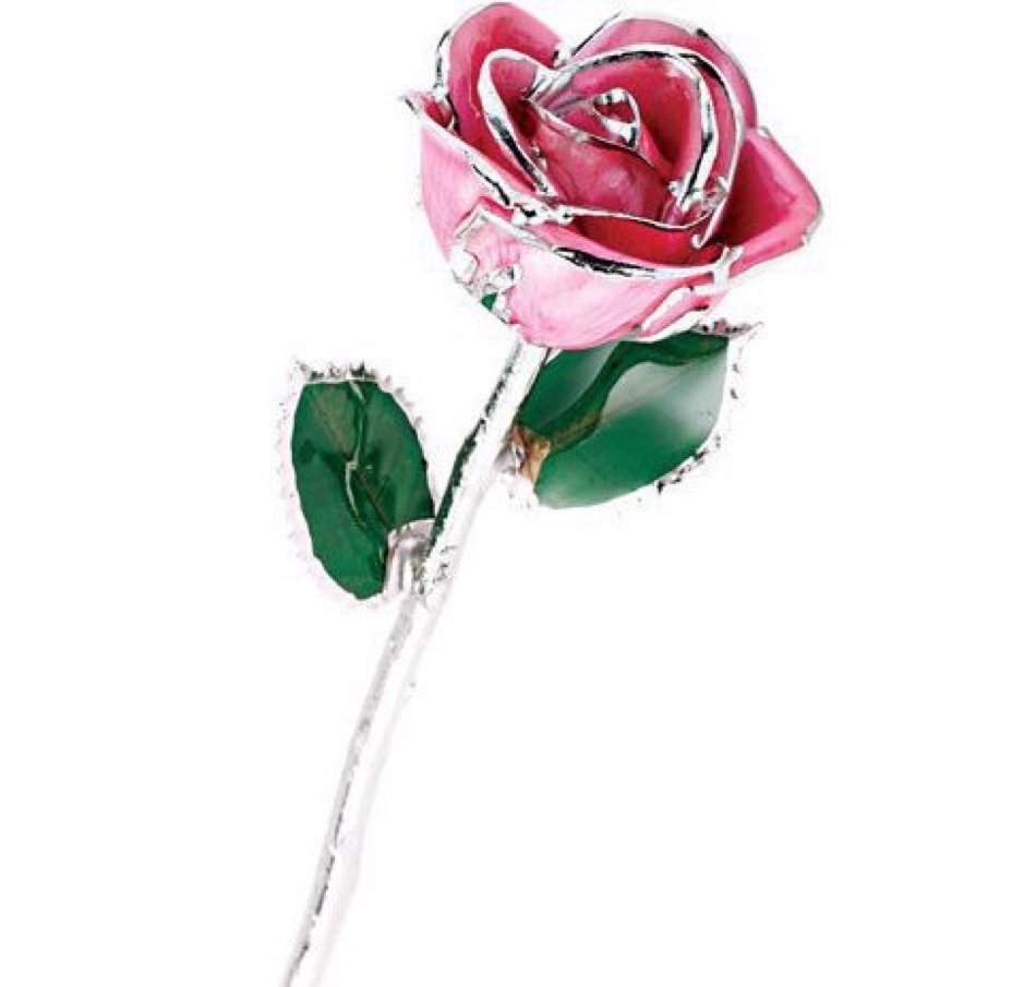 24K Yellow Gold Trimmed White Rose April Diamond White Real Long Stem Rose