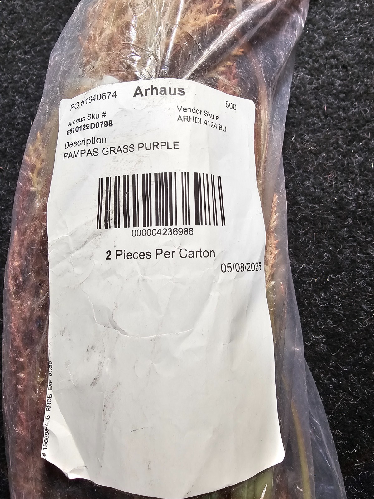 (QTY 2) Arhaus 6510129D0798 Pampas Grass Purple