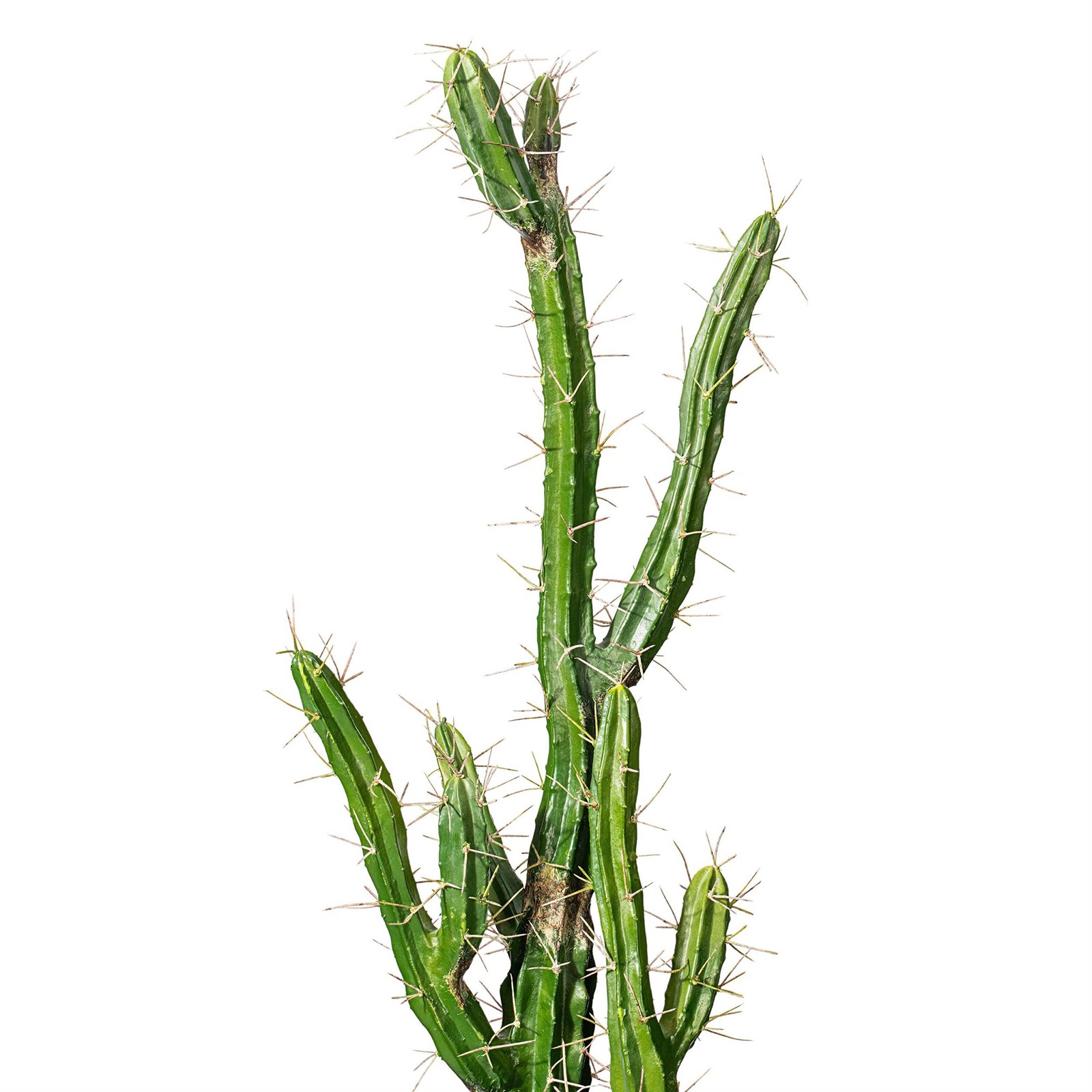 Vickerman 46″ Plastic Artificial Cactus with Black Planters Pot in Green