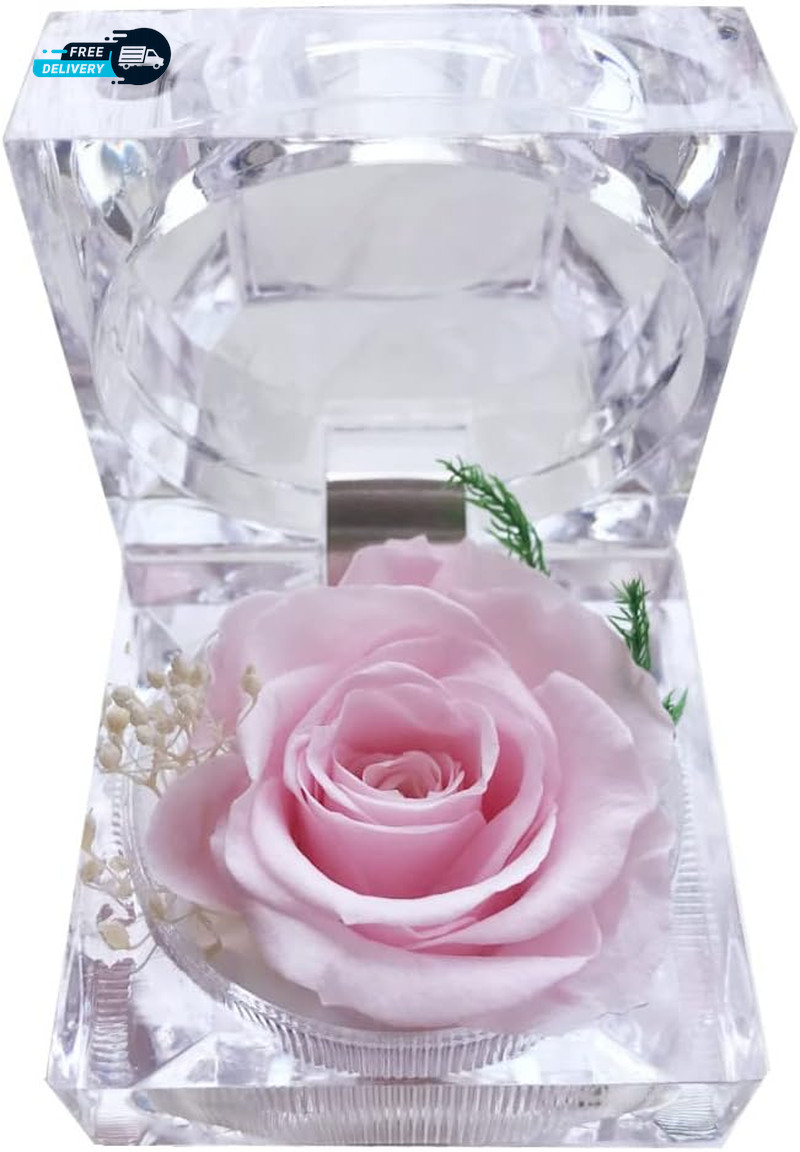 Preserved Rose Real Forever Rose in Mini Clear Ring Box, Eternal Flower Rose Gif