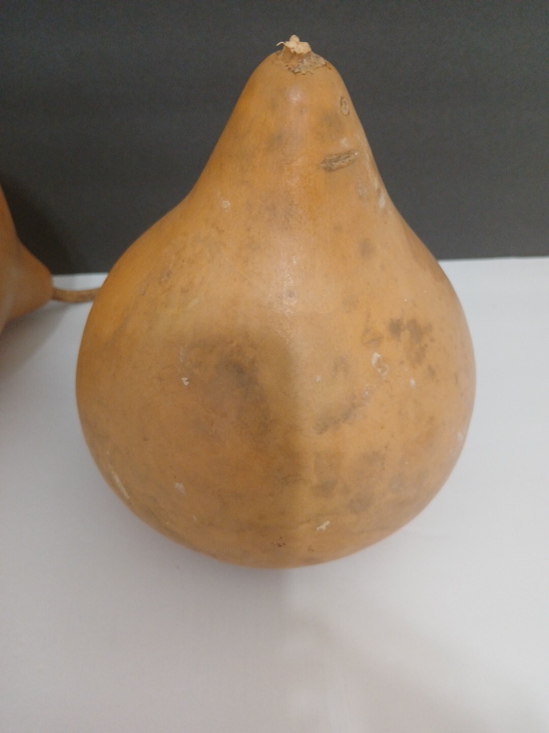 Organic Natural Calabash With Seeds Decorative Pieces 2