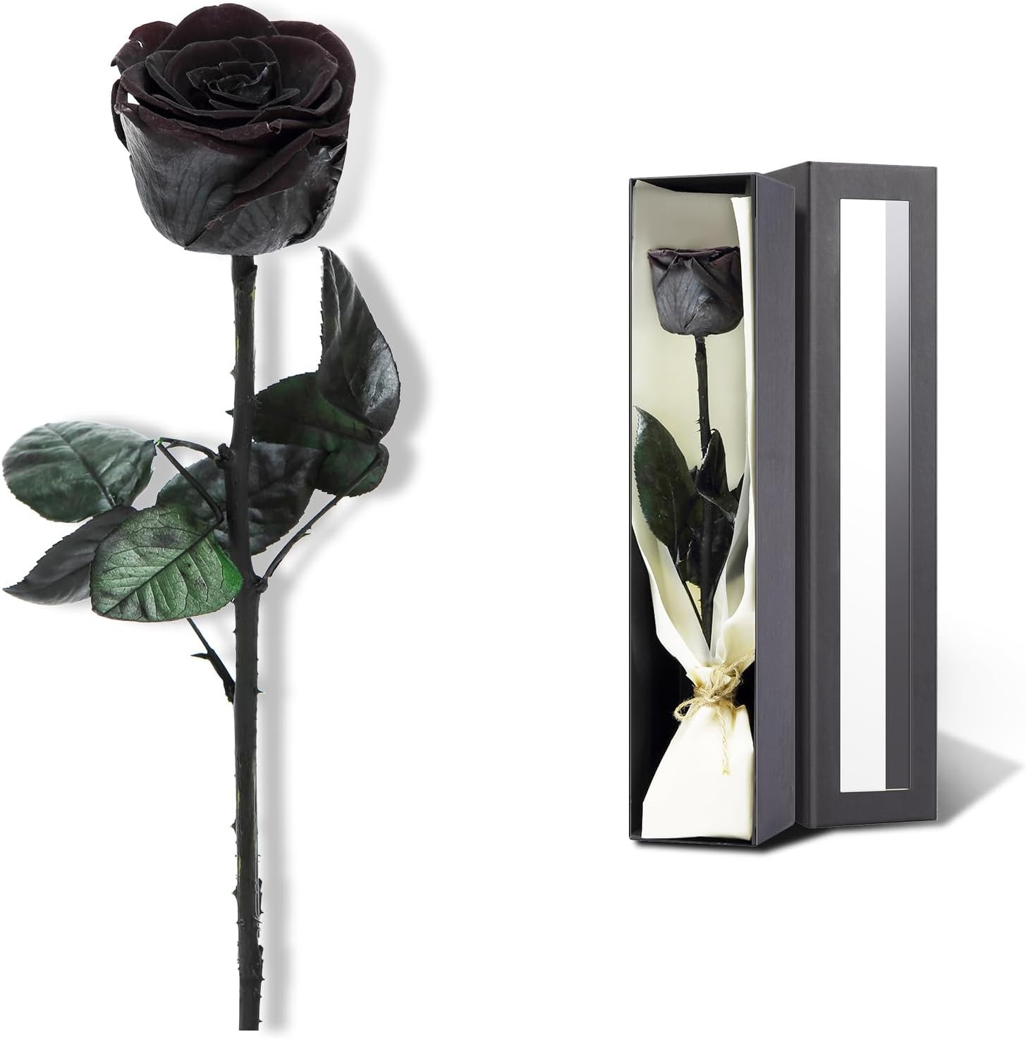 Black Preserved Roses for Delivery – Single Flower Gifts for Her
