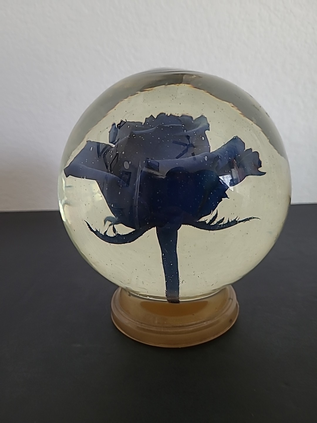 Vintage Blue Crimp Rose Pedestal Preserved In Glass and Liquid Real 4LBS