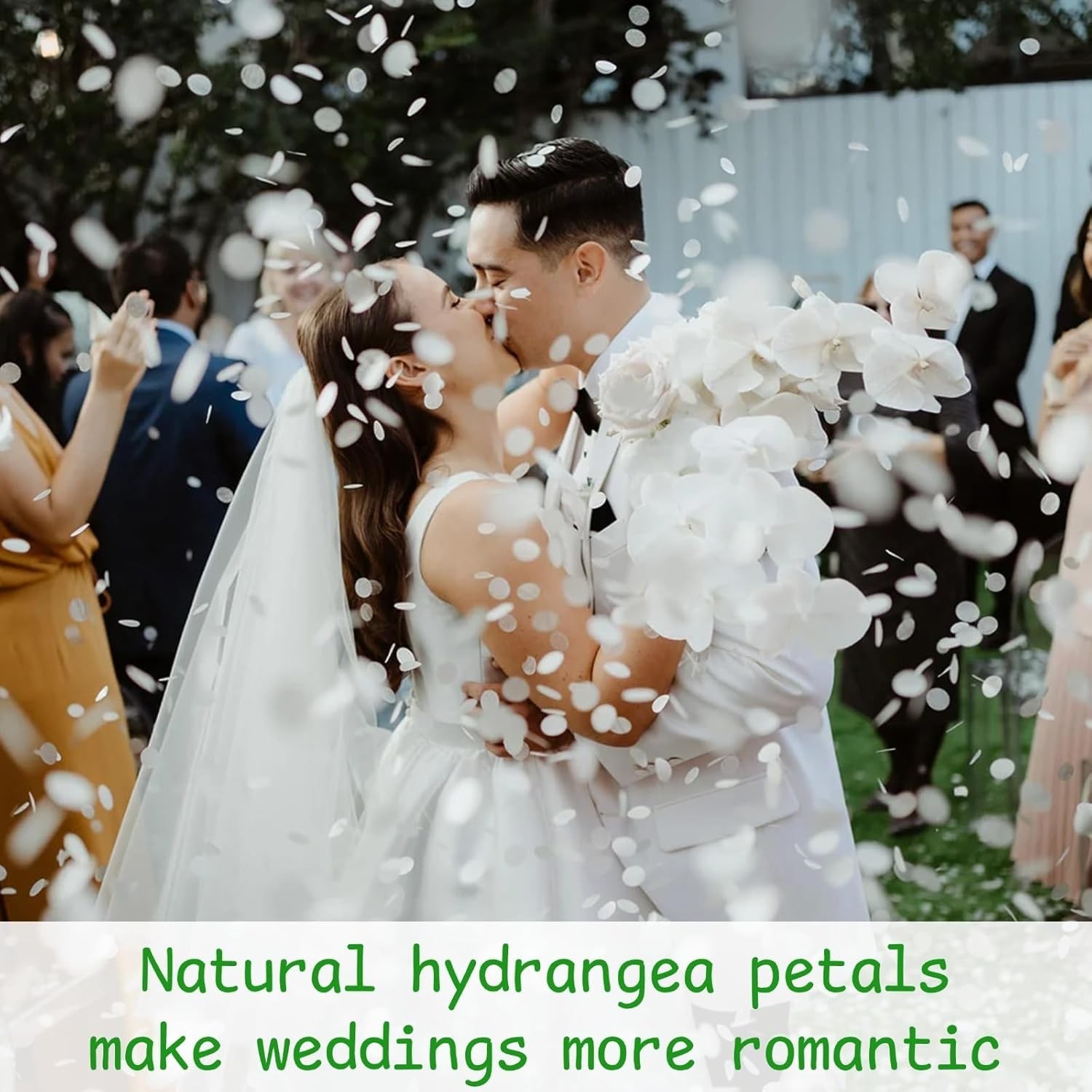 3000+Pcs Real Ivory White Dried Hydrangea Flower Petals – 100% Natural Creamy…
