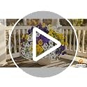 18 Pcs Artificial Pansy Flowers Faux Silk Outdoor Plants for Porch Yard Decor