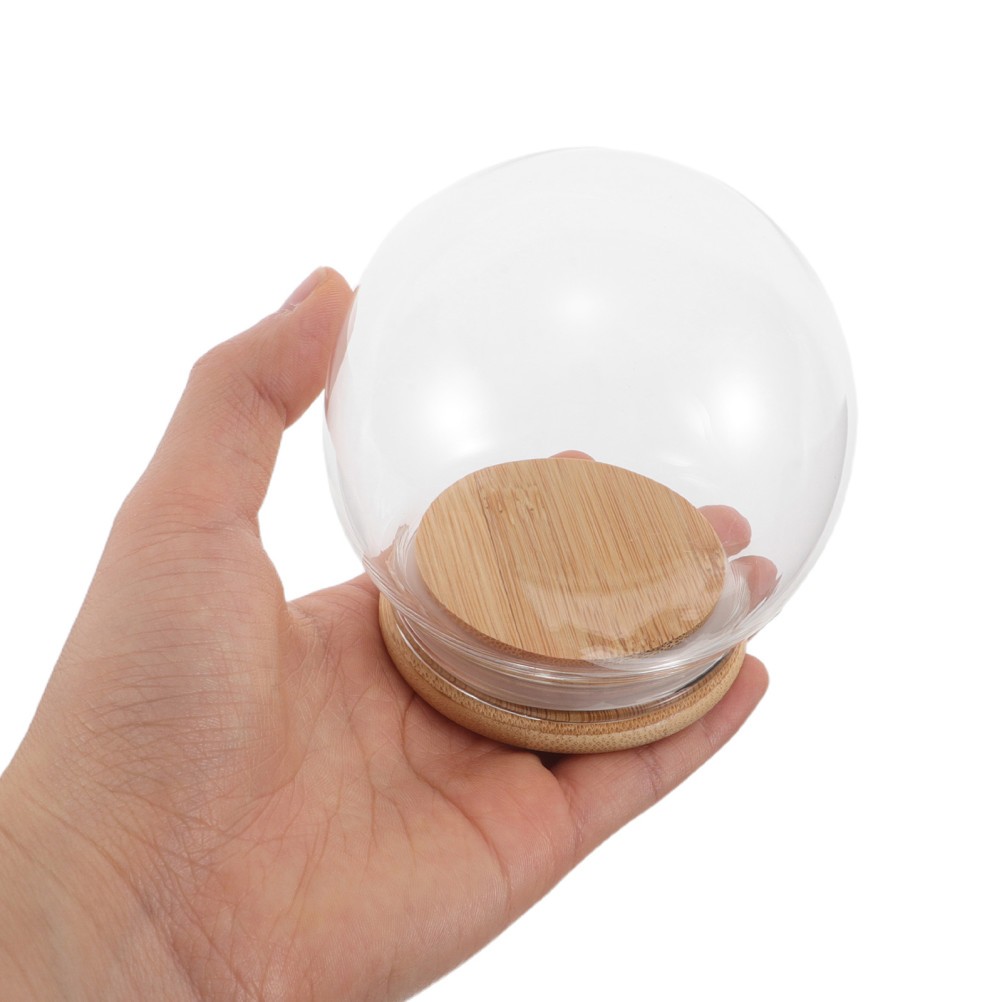 2Pcs Transparent Glass Display Dome Cloche with Base for Craft and Flower Decor