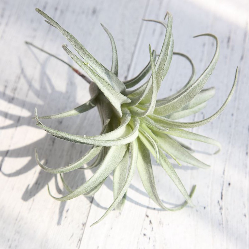 2Pcs Reusable Artificial Green Leaves Faux Greenery for Home and Office Decor