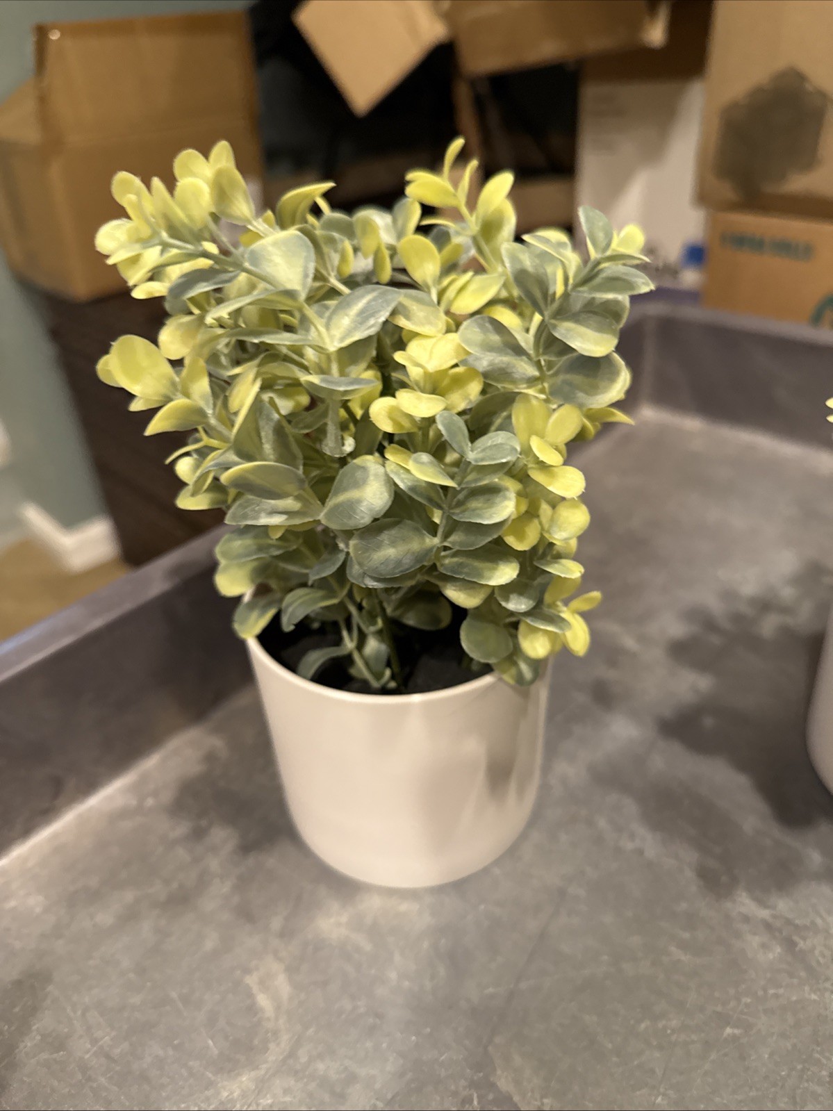 Threshold Potted Faux Boxwood Plant 4” NEW Mixed Green Leaves – Set Of 4