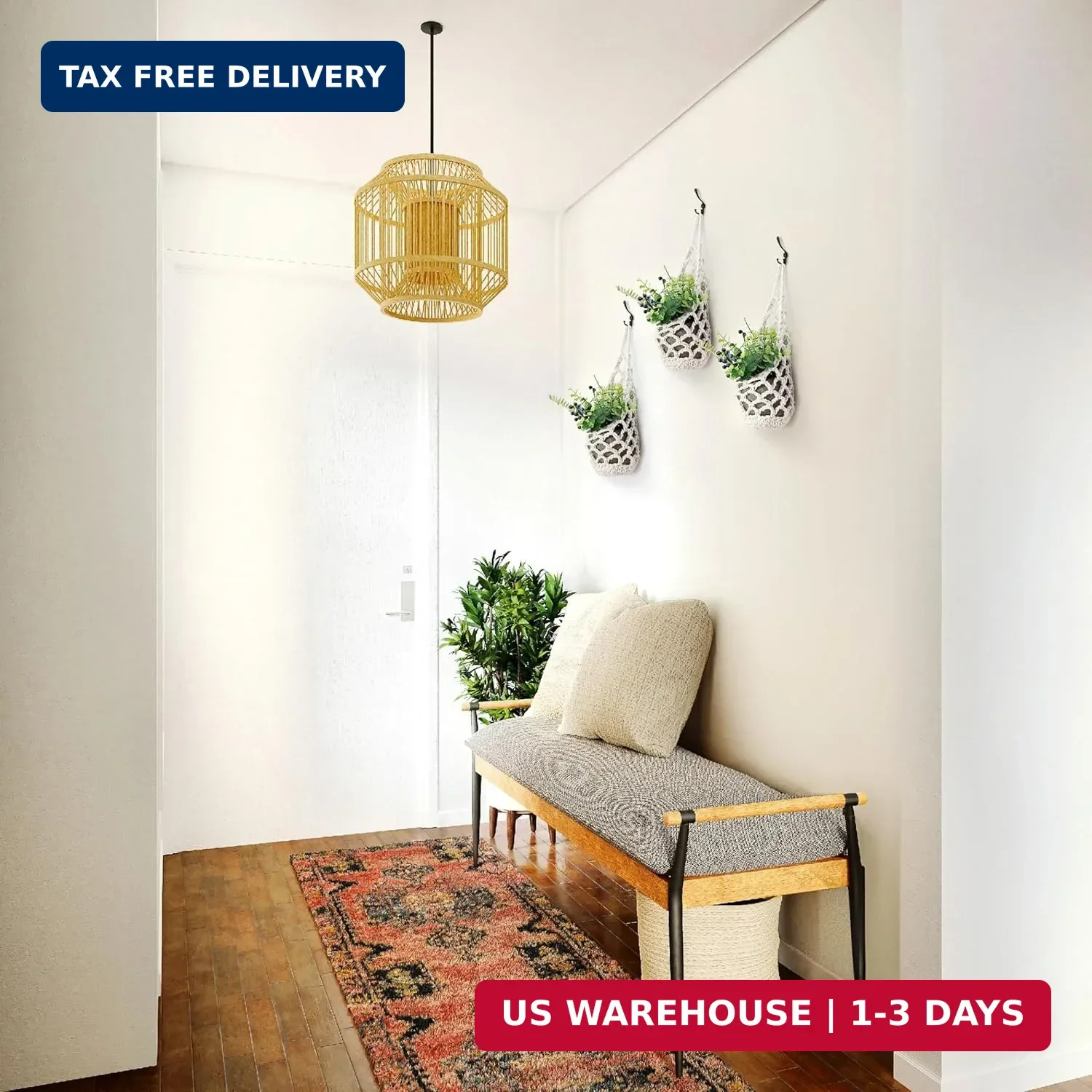 3 Packs Hanging Planters for Indoor Plants up to 4 in., Wall Plant Holder | Plan