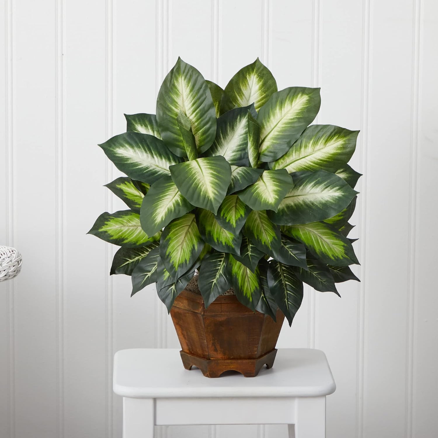 22IN Artificial Triple Golden Dieffenbachia Plant with Decorative Wood Planter,