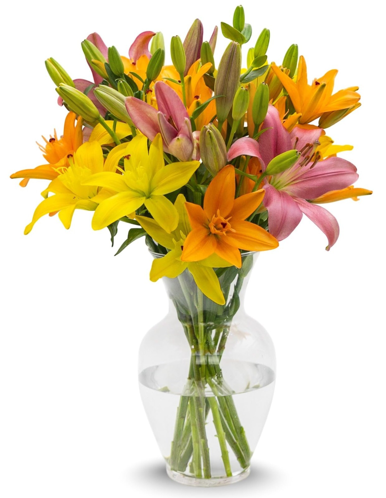 Fresh Cut Sunrise Royal Lily Bouquet – 10 Stems, Hand-Tied Floral Gift for Any O
