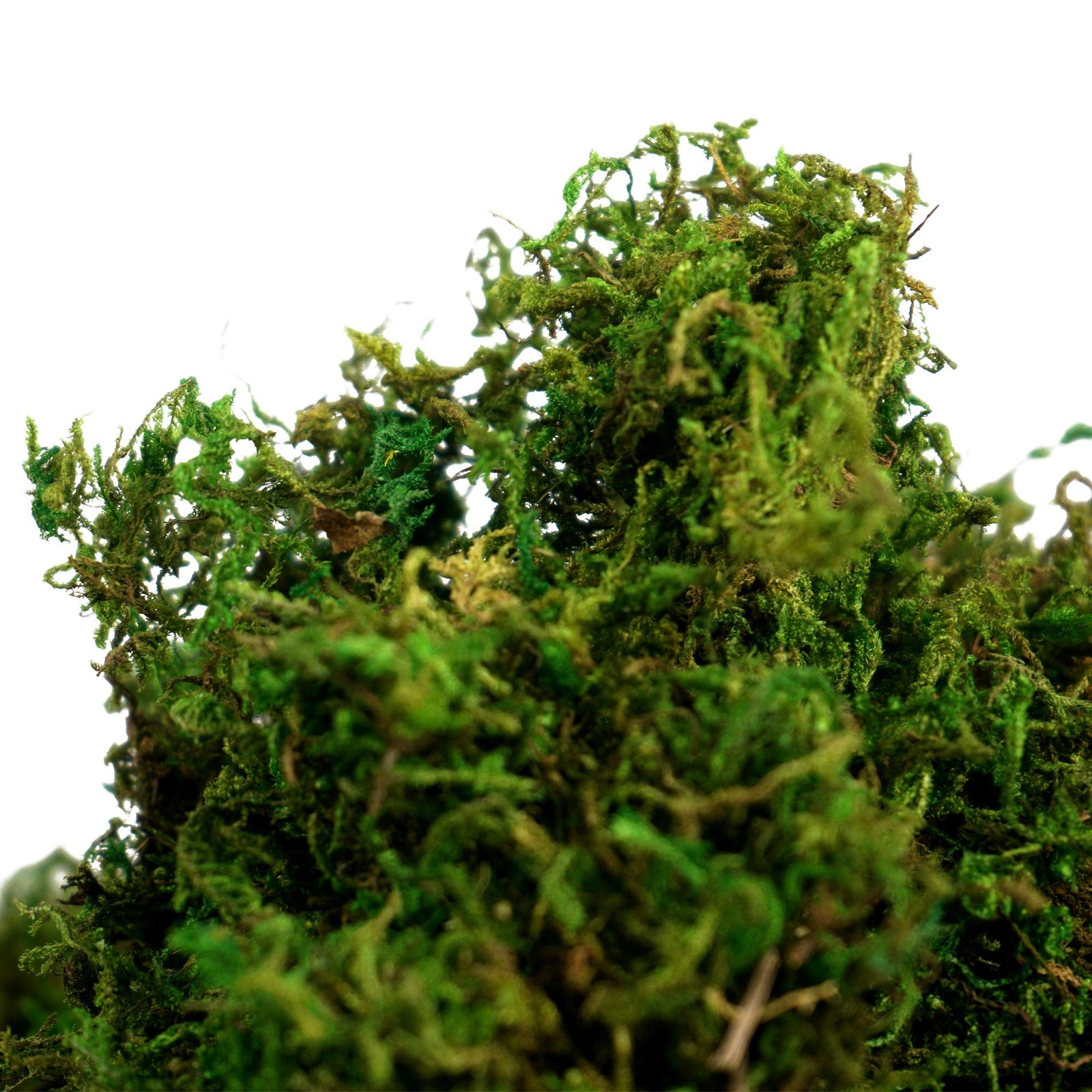 Artificial Moss Fake Green Grass for Centerpieces Home Kitchen Garden Decor (…