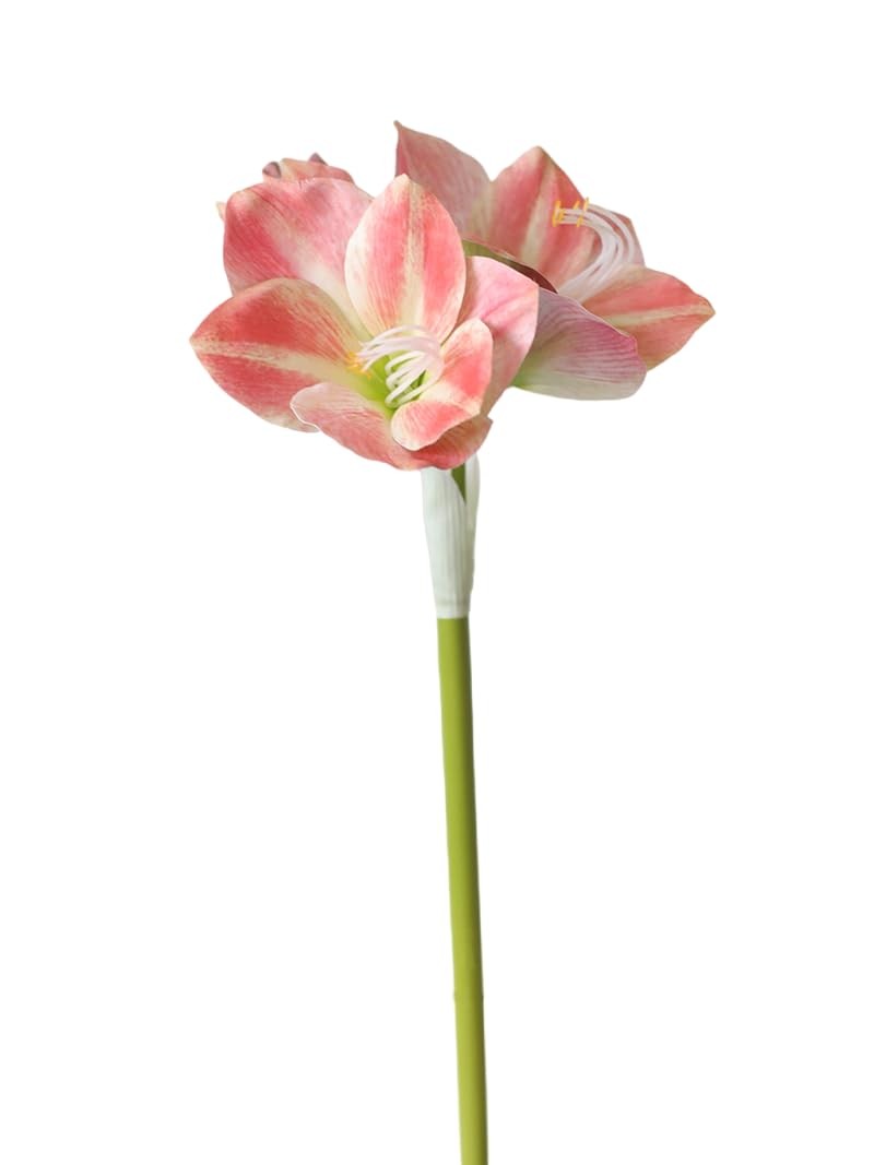 Artificial Amaryllis Flowers, 21.5 inches, Red, White, Pink, Set of 3, Faux L…