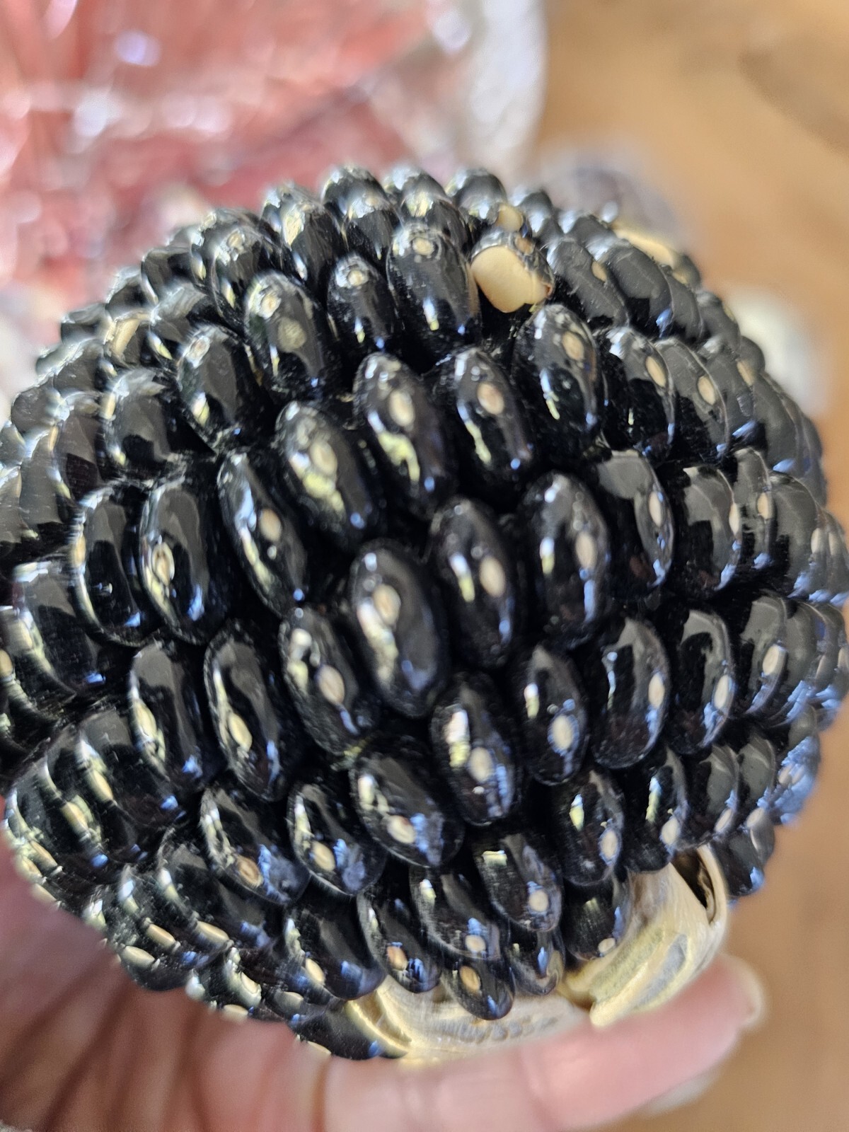 Natural Palm Leaf Branches Organic Orb Vessel Filler Bundle