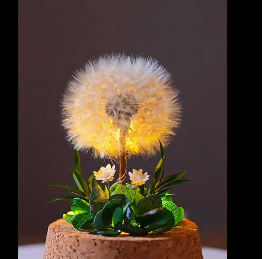 2.4×3.15 inches Mini Natural Dandelion Preserved Eternal Flower Decor Cherished