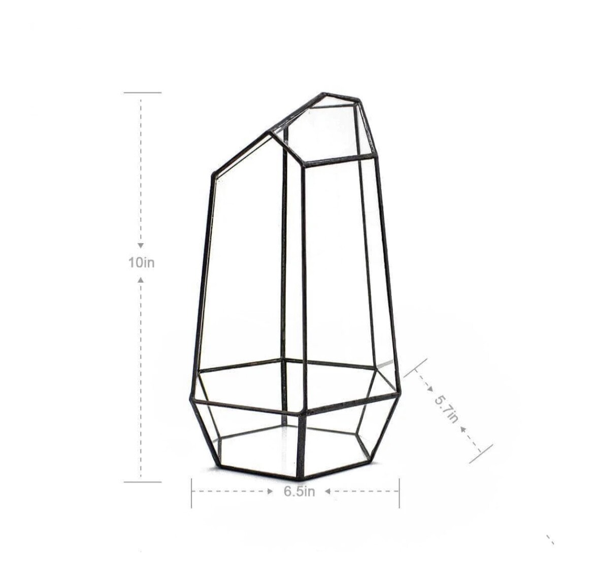 Irregular Open Geometric Terrarium 10” Tall