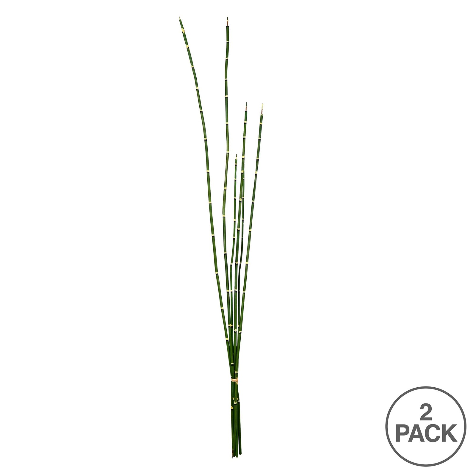Vickerman 31″ Plastic Artificial Horsetail Bundle in Green (Set of 2)