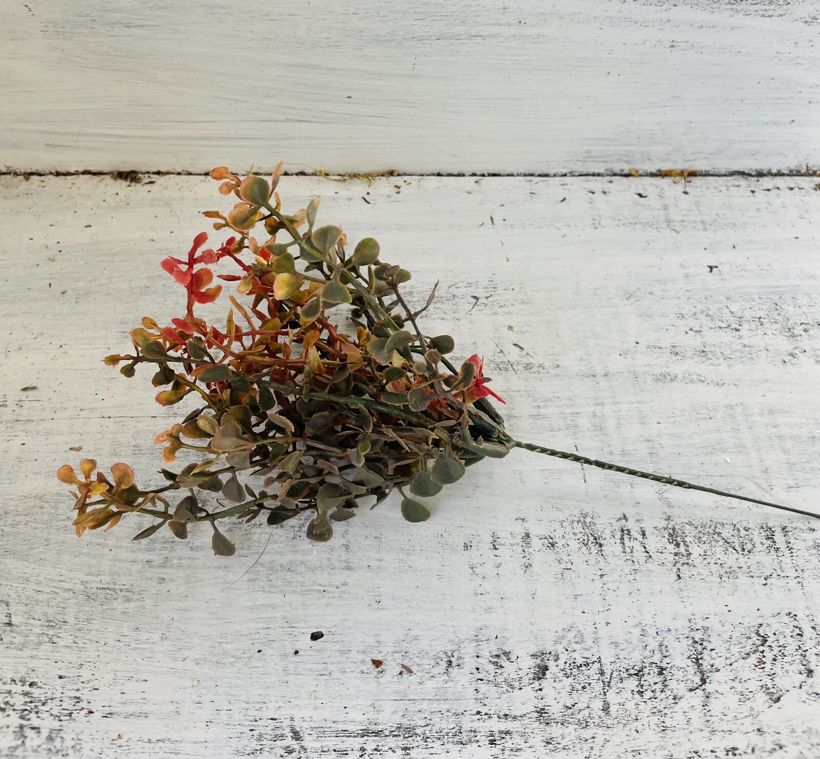 Red Baby’s Grass Pick, 9”