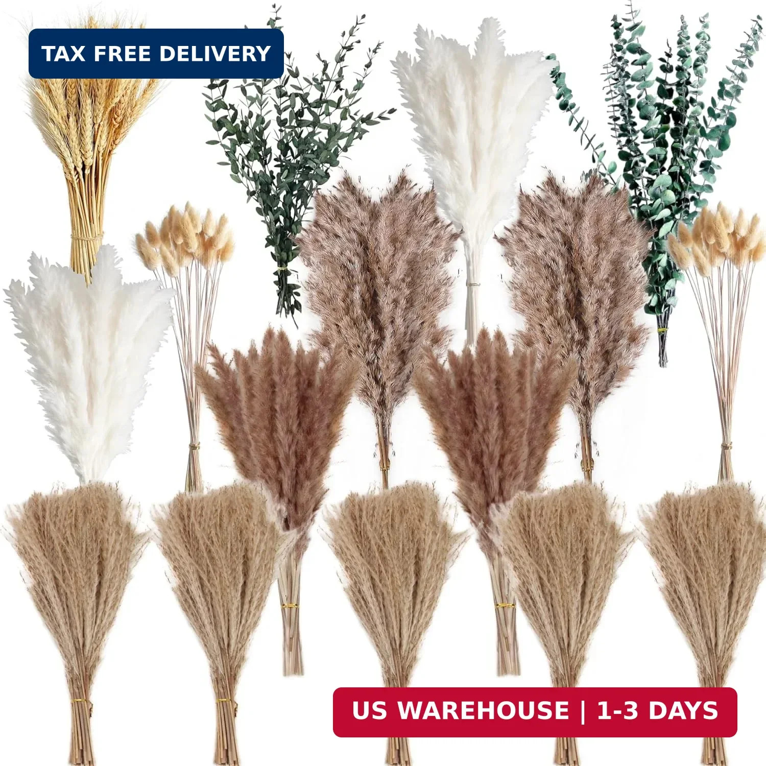 355PCS Dried Pampas Grass Bouquet Set – Dried Eucalyptus, Brown Pampas Grass & W