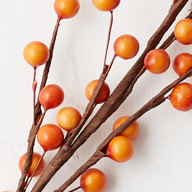 Factory Direct Craft Set of 24 Autumn Orange Artificial Berry 22″ Sprays