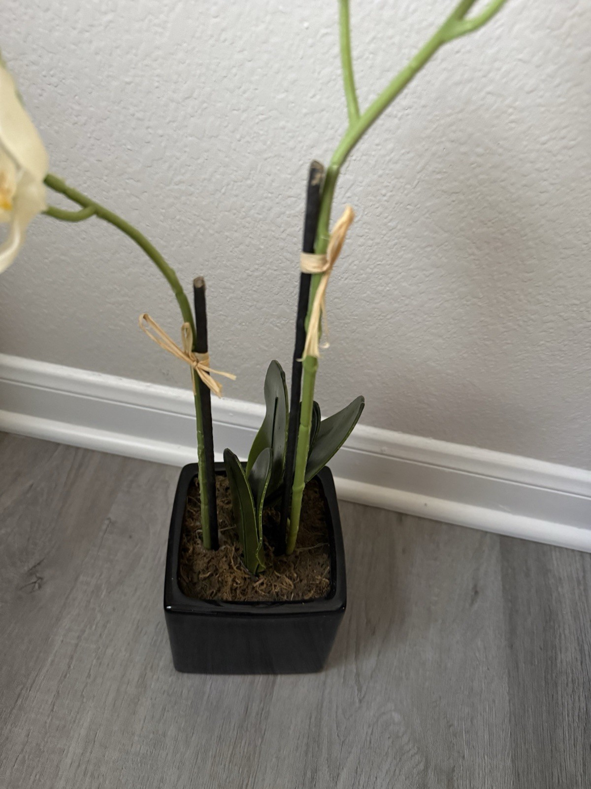 Real Touch White Phalaenopsis Potted Orchid Plant With A Black Ceramic Pot 18”