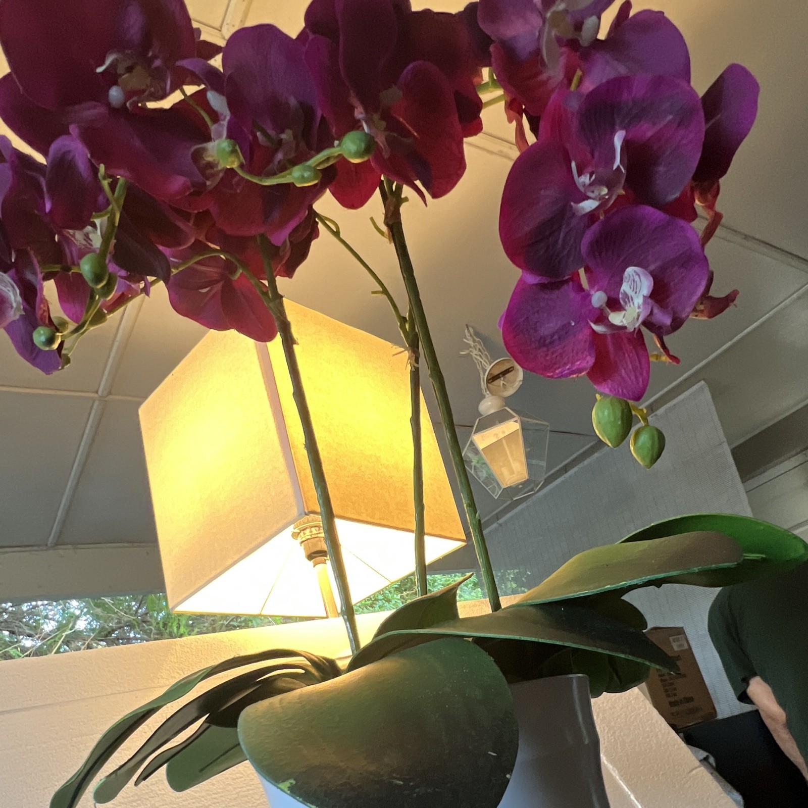 HomeGoods Artificial Purple Orchid Arrangement & Centerpiece in White Pot 11 in