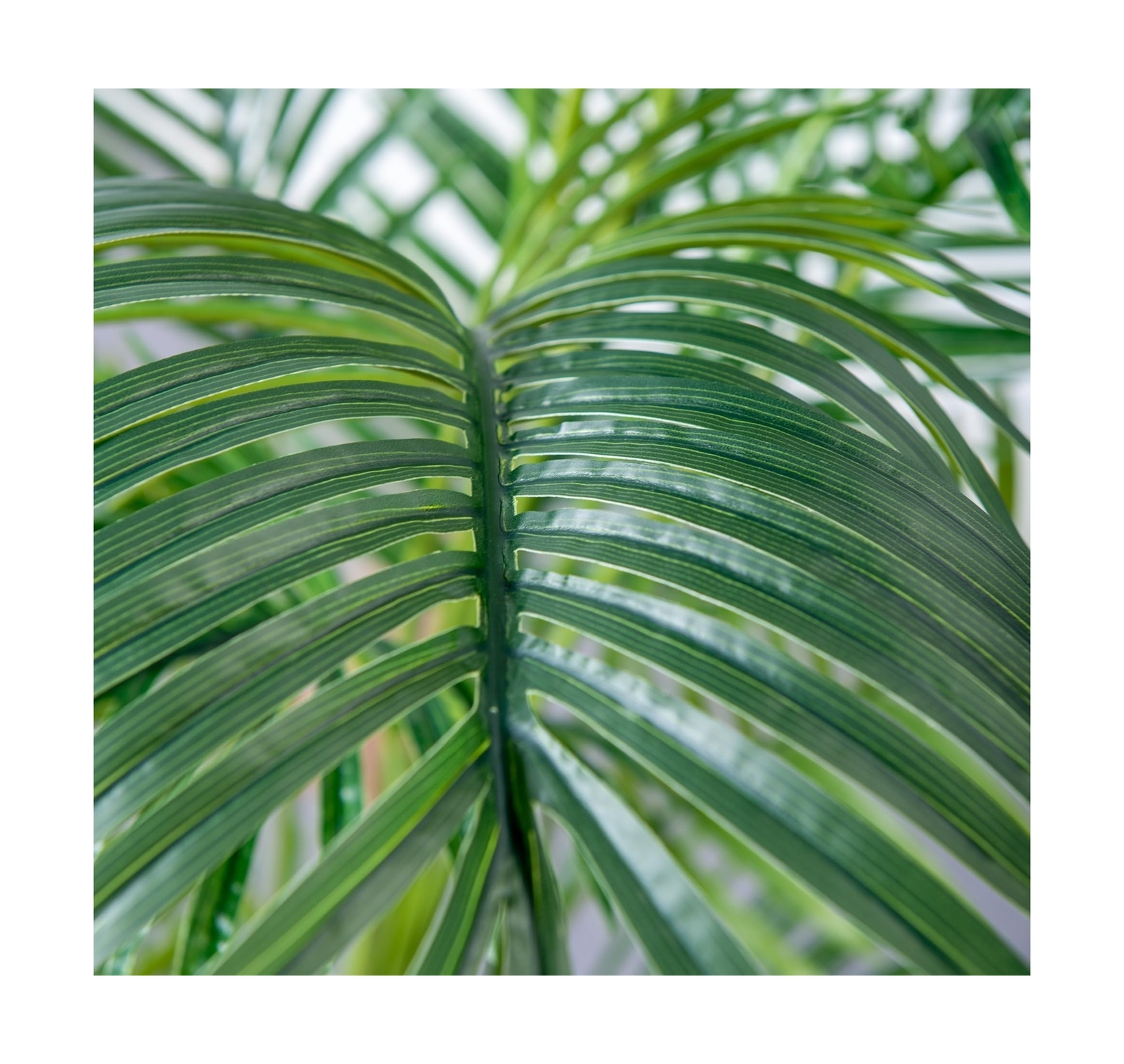 HAIHONG 6FT Artificial Palm Tree,Faux Areca Palm Plant with Real Touch Leaves…