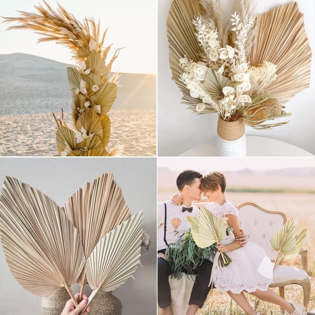 Natural Dried Palm Leaves, 17.3 Inch, 10 Pieces, Beige and Brown, for Wedding…