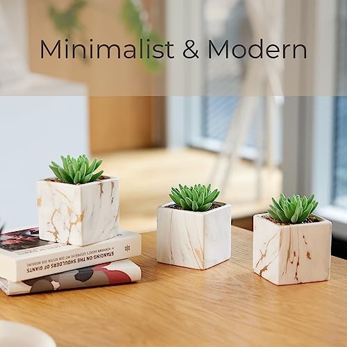Nordik Square Marble Pots with Gold Vein Accents – Set of 3 Ceramic White Gold