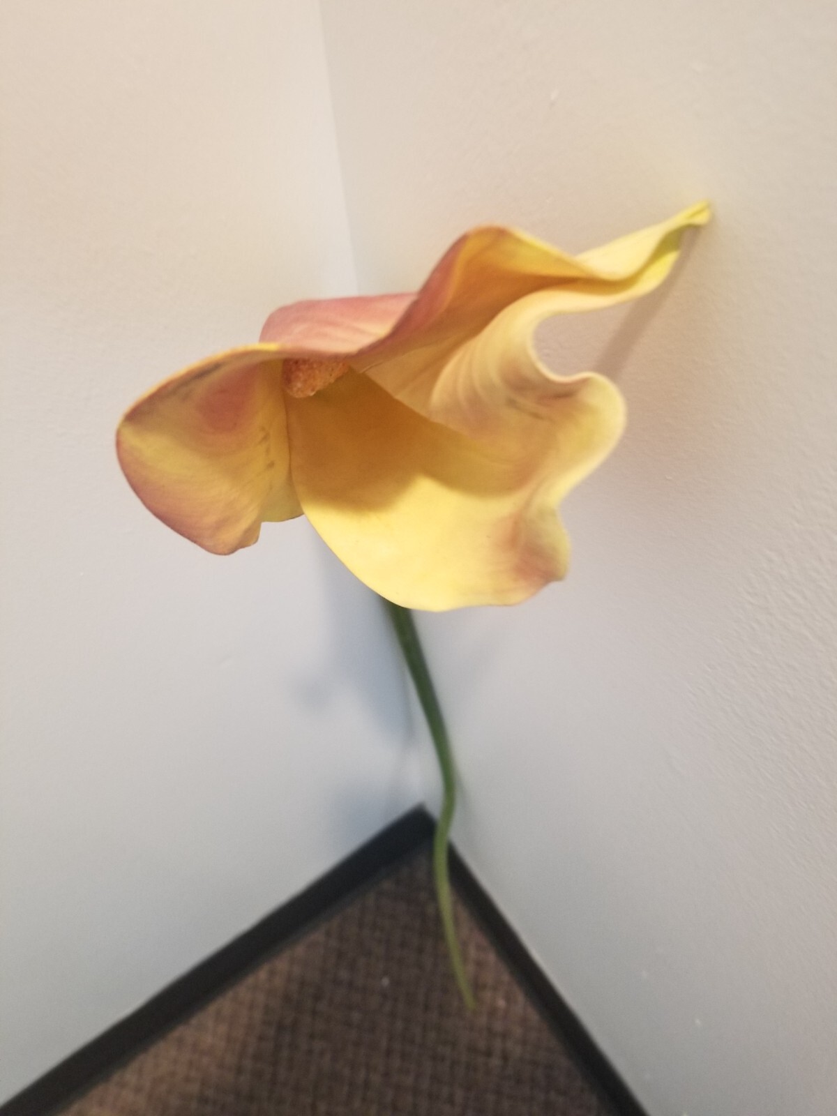 (5 FLOWERS) LILY ARTIFICIAL MULTICOLOR FLOWER, 33″ TALL