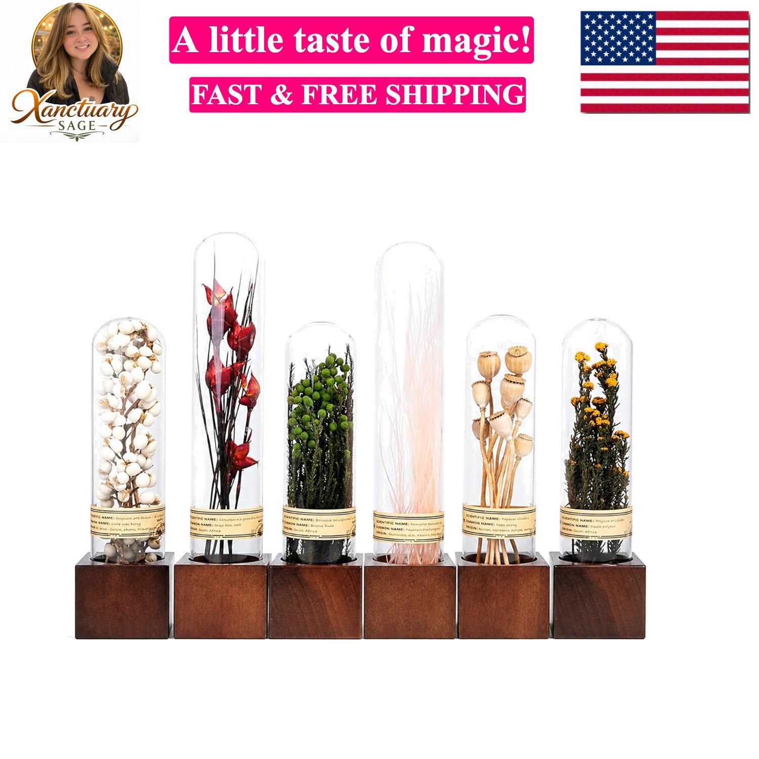 6Pcs Dried Flower Decor,Knick Knacks for Shelves,Cool Stuff for Bookshelf,Sma…