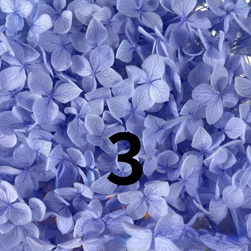 50g Bulk Dried Artificial Flowers for Gift Photograph Props Party Wedding Decor