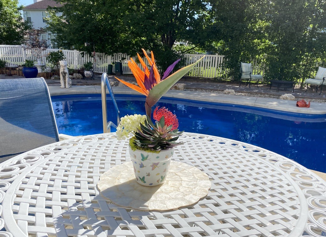Decorative Planter with Dragon Flowers and Tropical Flowers in Butterfly Pot
