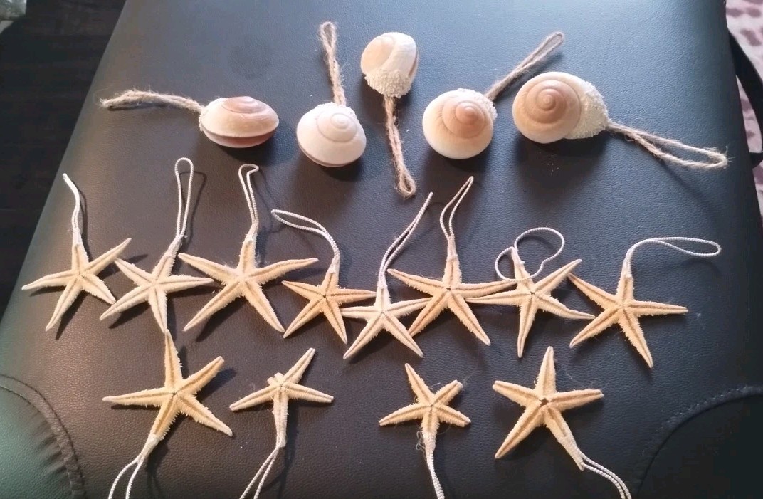 Sealife 12 Dried Starfish 5 Snail Seashell Hanging Ornament 17 Lot Natural Color