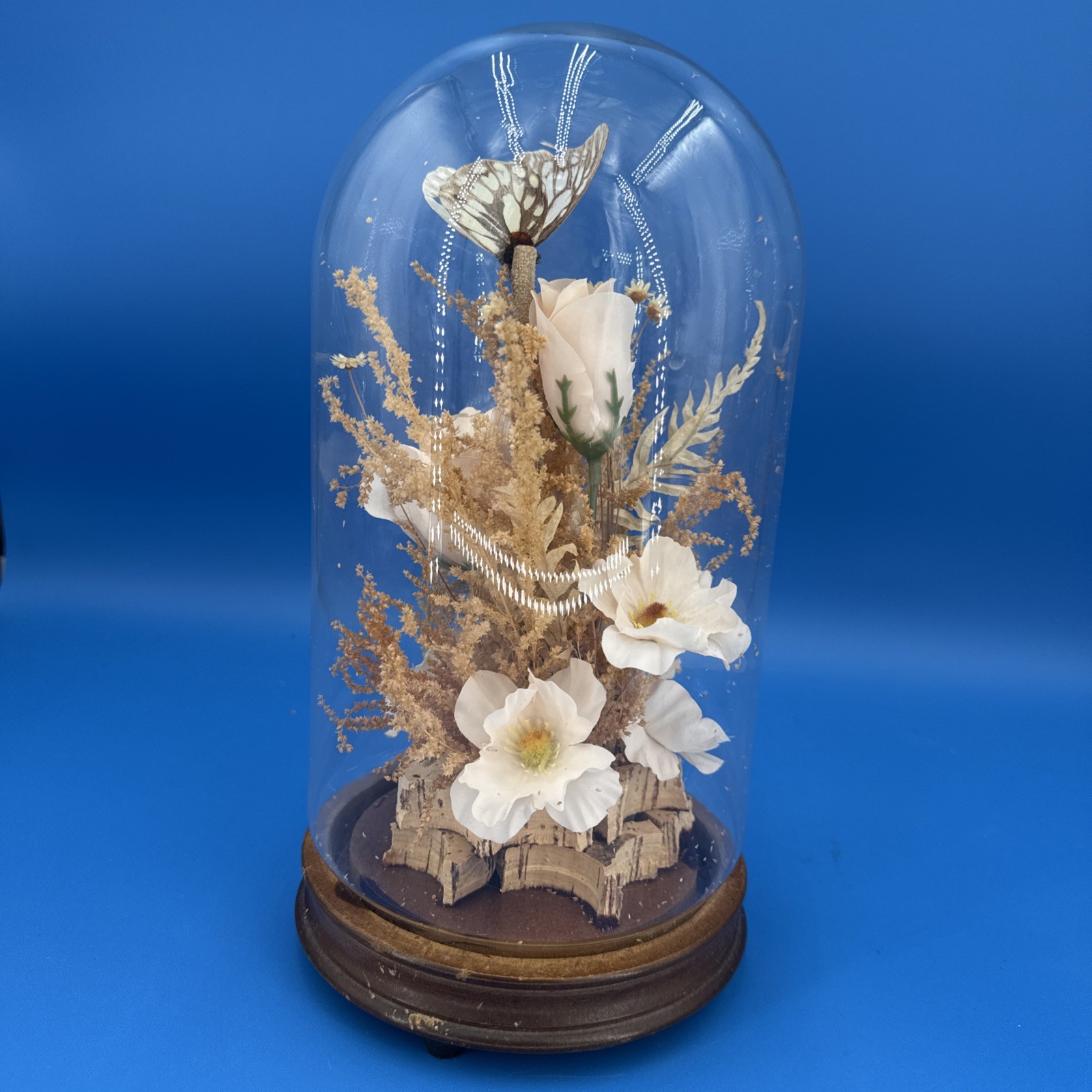 Vintage Butterfly & Flowers Under Glass Dome Wood Base