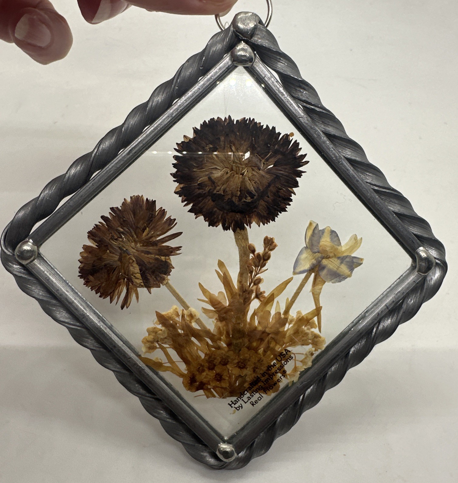 Dried Pressed Flowers Framed Glass Vintage Hanging Decor Lasting Impressions USA
