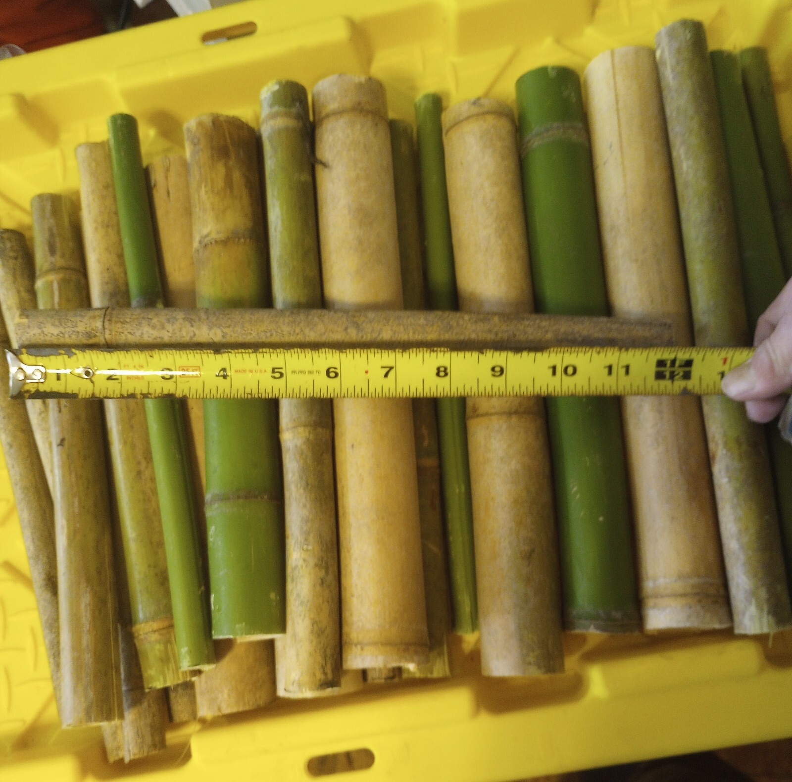 5 Bamboo Stick 1″ Diameter 12″ Long Pieces Pole craft Lot 1′ Long Decor Yard Art