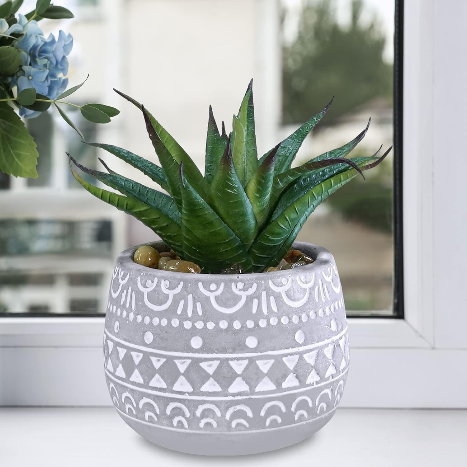 Assorted Small Potted Succulents for Modern Decor – No Maintenance Needed