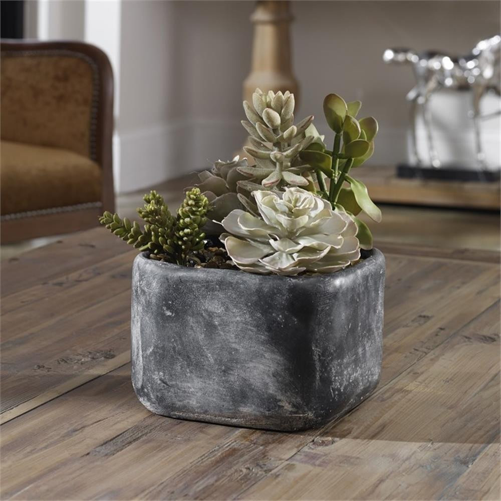 Uttermost Alverio Contemporary Plastic Iron Cement Succulents in Black/Green
