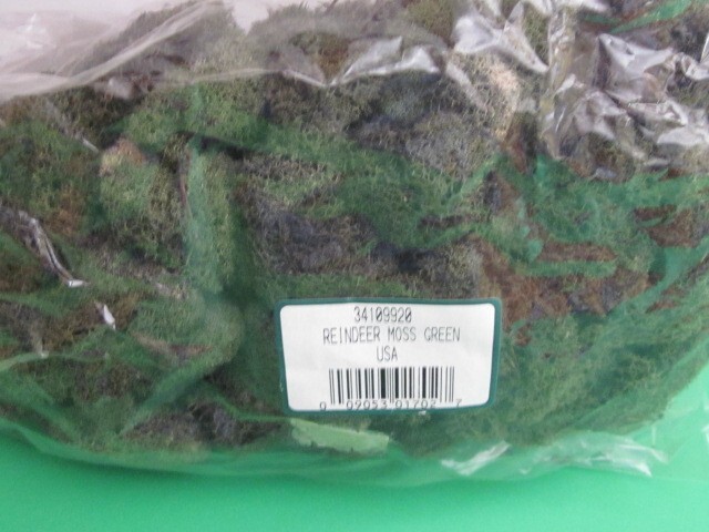 PRESERVED NATURAL REINDEER MOSS GREEN FOR CRAFTS VILLAGES & RAILROAD DISPLAYS