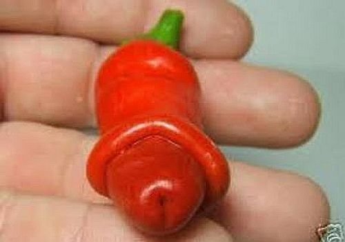 100Pcs SE EDS Peter Pepper Heirloom Hot pepper NON GMO Se eds