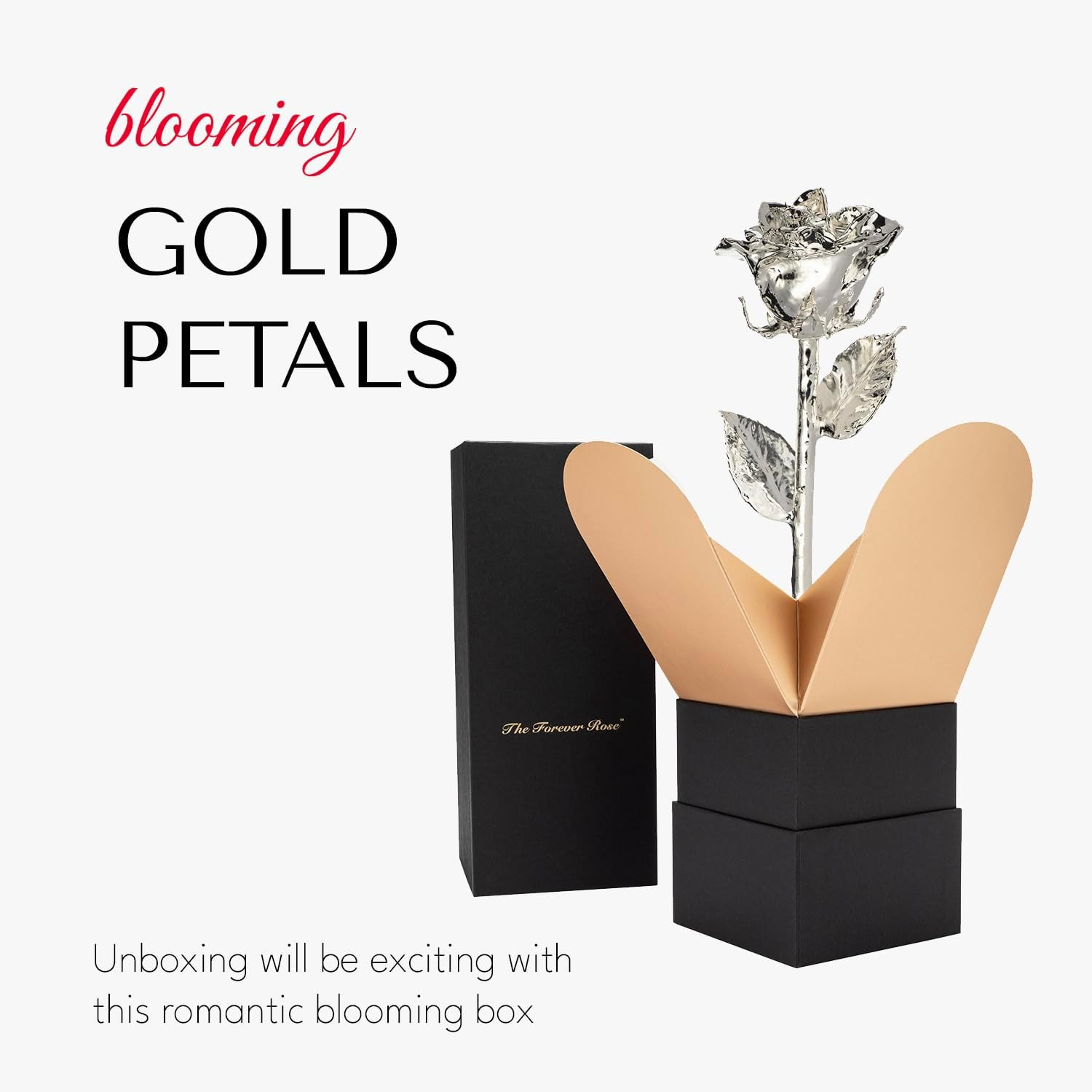 Hand Dipped Silver Rose & Phantom Vase | Unique Valentine’s Gift Bundle