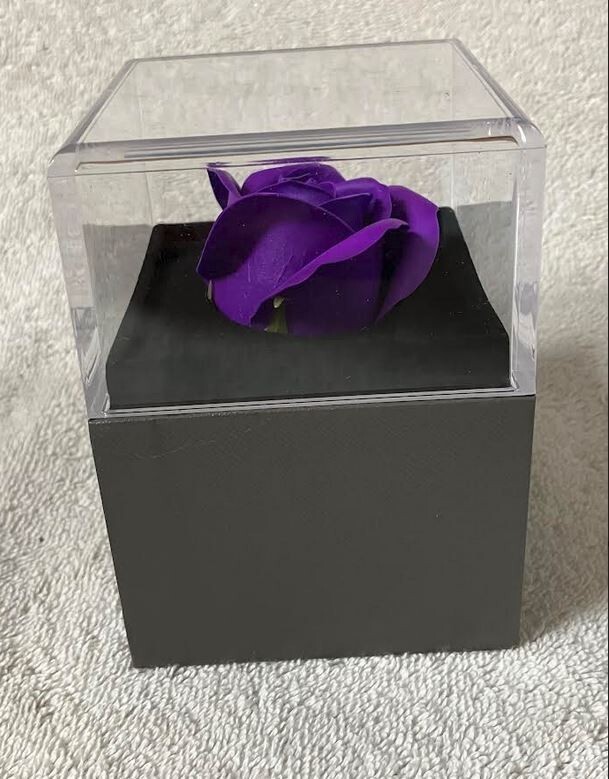 Preserved Purple Rose in Box with Heart Necklace- Gift of Eternal Love-New