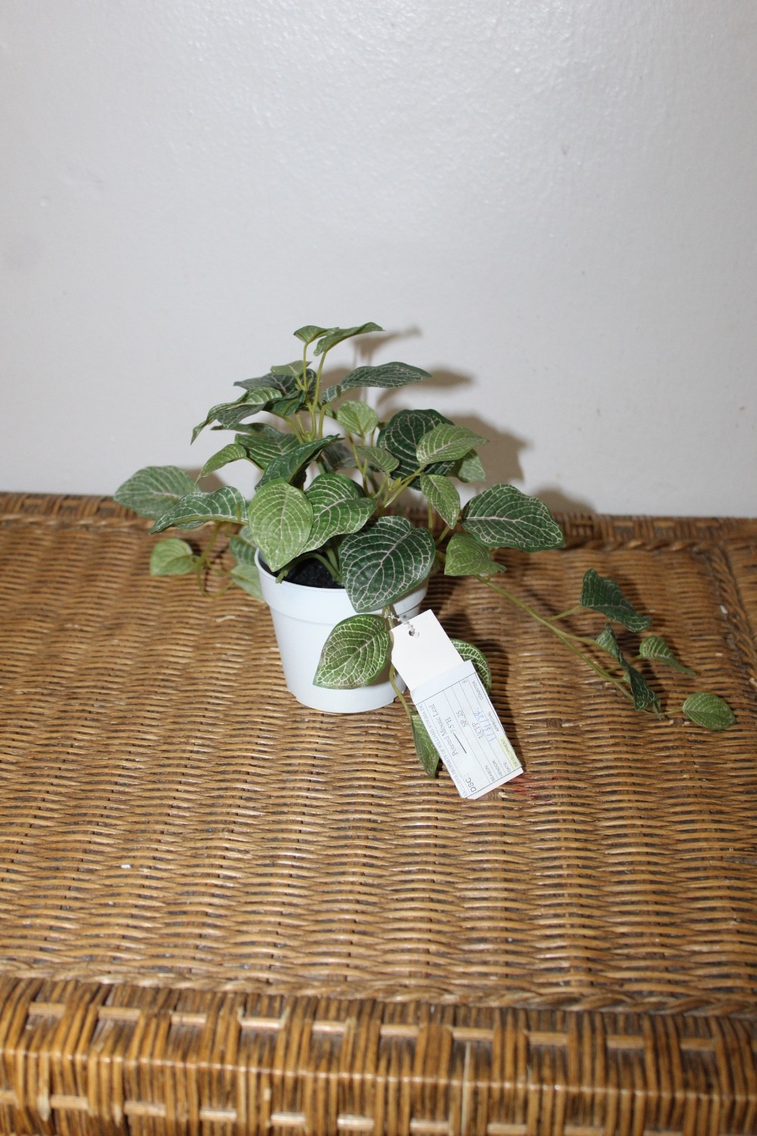 Williams Sonoma Artificial Potted Mosaic Leaf Plant