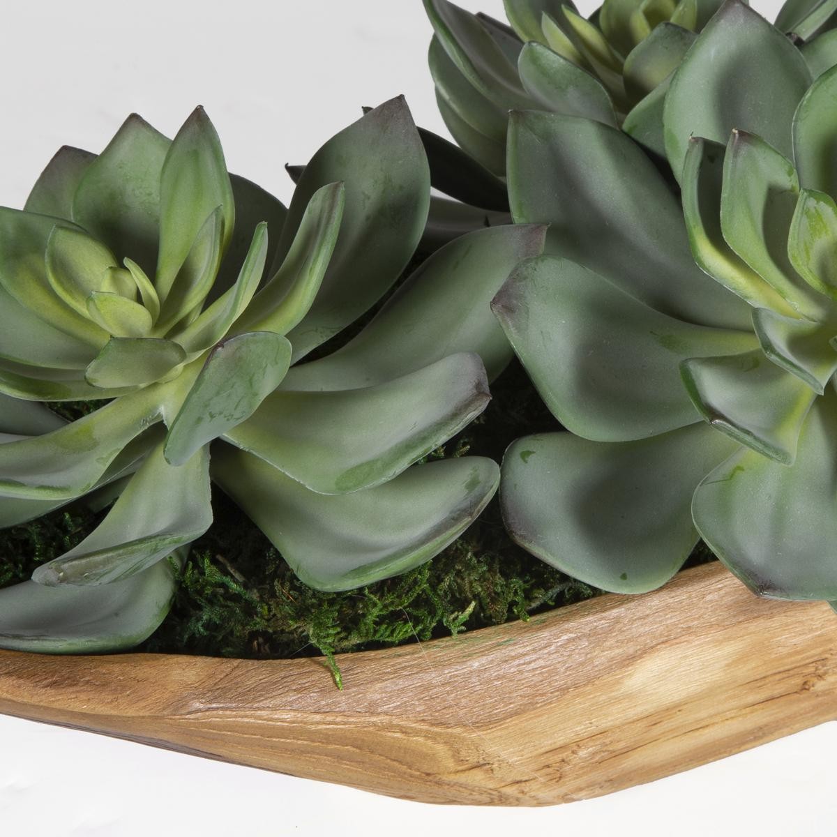 Uttermost 60205 Yuma Natural Teak Wood Succulent Centerpiece
