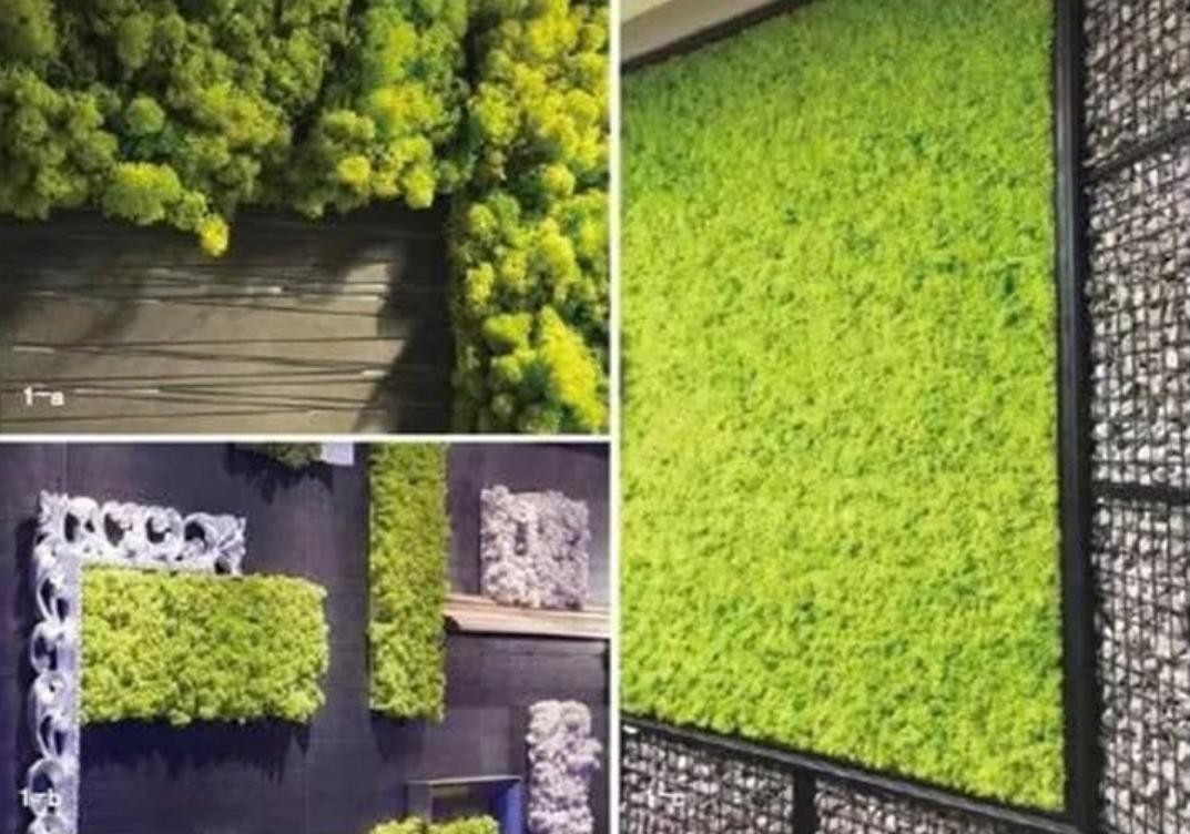 Moss Preserved DARK GREEN – Fairy Gardens Terrariums, Craft, DIY, Floral 1Kg